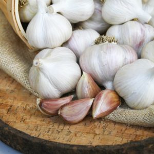 Italian Red (Hardneck) Garlic